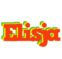 Elisja bbq logo