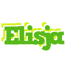Elisja picnic logo