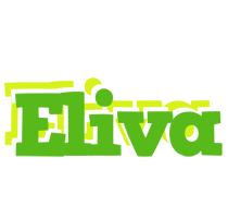 Eliva picnic logo