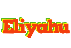 Eliyahu bbq logo