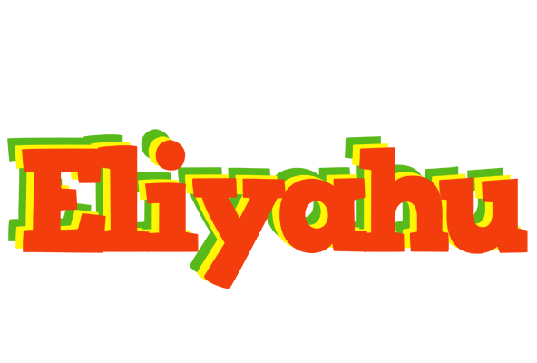 Eliyahu bbq logo