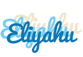 Eliyahu breeze logo