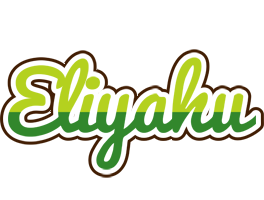 Eliyahu golfing logo