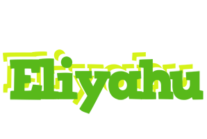 Eliyahu picnic logo