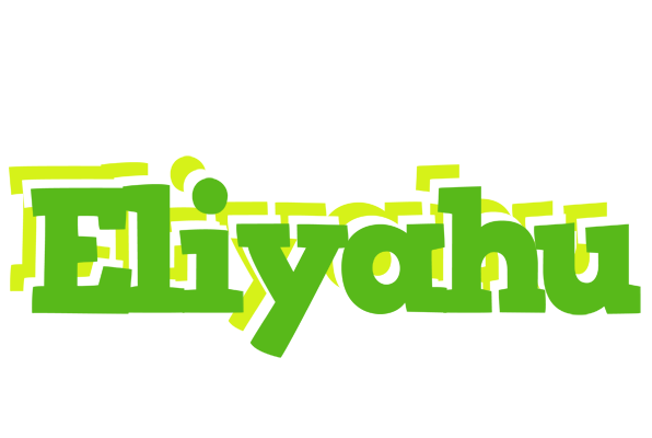 Eliyahu picnic logo