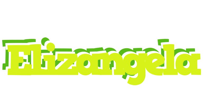 Elizangela citrus logo