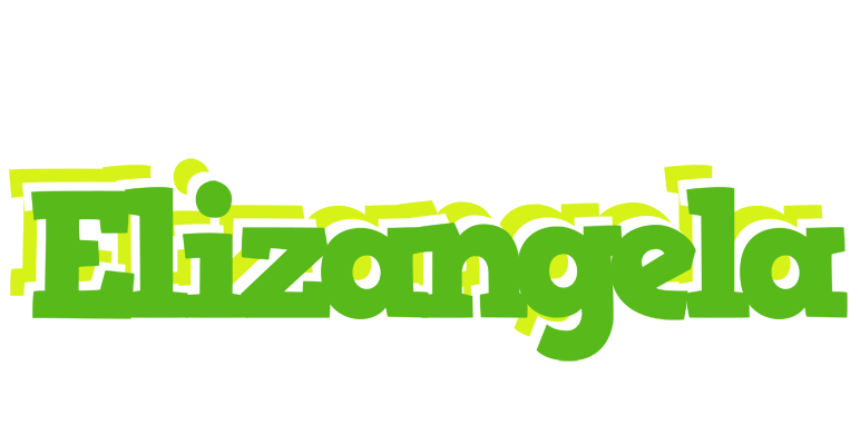 Elizangela picnic logo