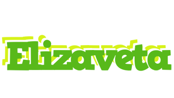 Elizaveta picnic logo