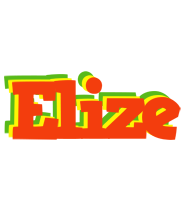 Elize bbq logo