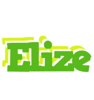 Elize picnic logo