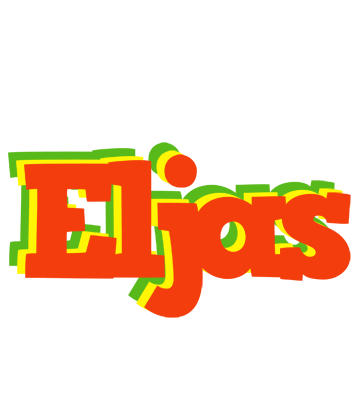 Eljas bbq logo