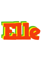 Elle bbq logo