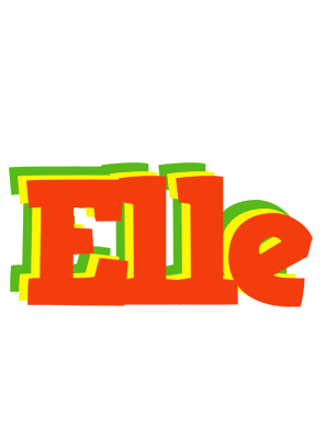 Elle bbq logo