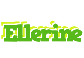 Ellerine picnic logo
