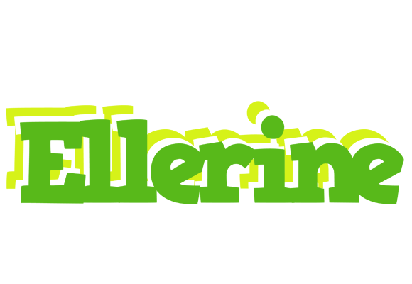 Ellerine picnic logo