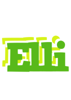 Elli picnic logo