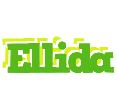 Ellida picnic logo