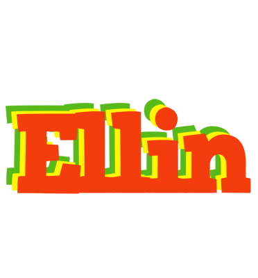 Ellin bbq logo