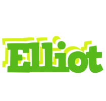 Elliot picnic logo