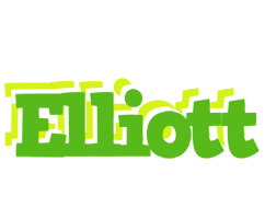 Elliott picnic logo