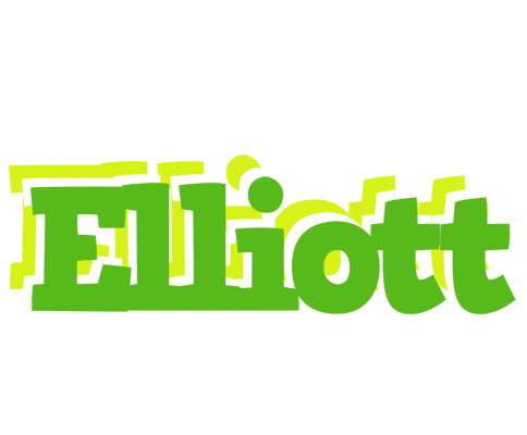 Elliott picnic logo