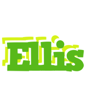 Ellis picnic logo