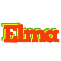 Elma bbq logo