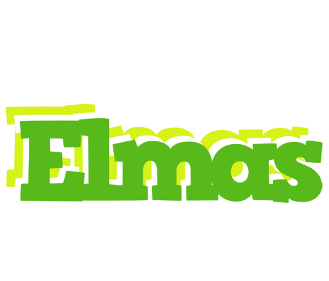 Elmas picnic logo