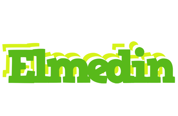 Elmedin picnic logo