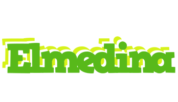 Elmedina picnic logo