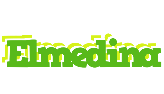 Elmedina picnic logo