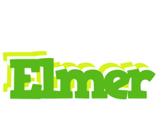 Elmer picnic logo