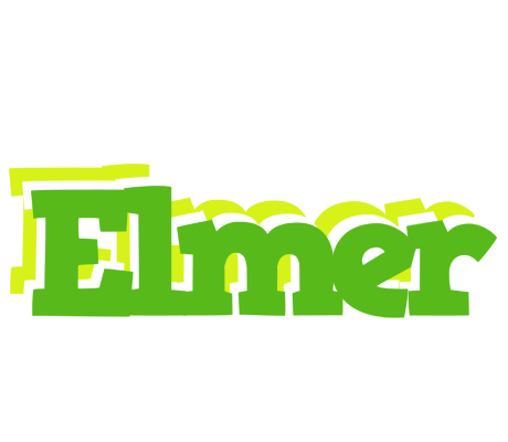 Elmer picnic logo