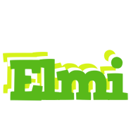 Elmi picnic logo