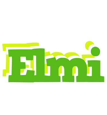 Elmi picnic logo