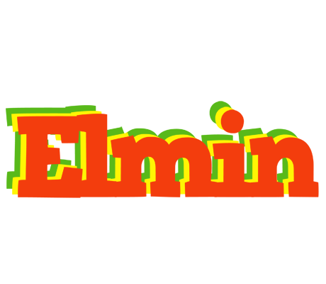 Elmin bbq logo