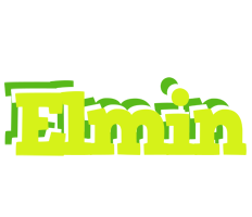 Elmin citrus logo