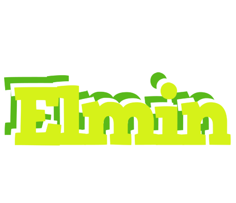 Elmin citrus logo
