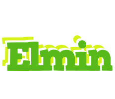 Elmin picnic logo