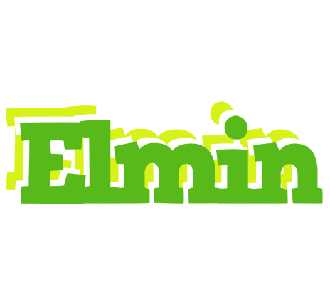 Elmin picnic logo