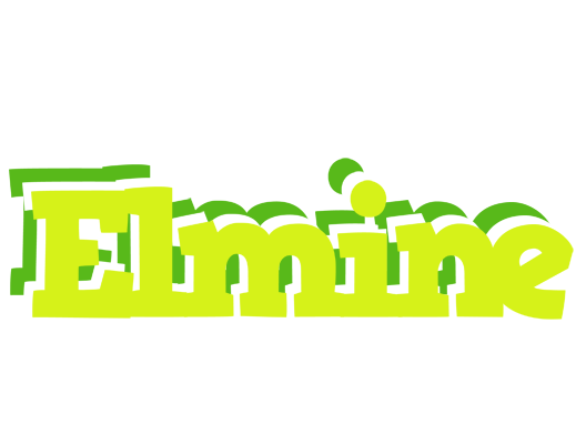 Elmine citrus logo