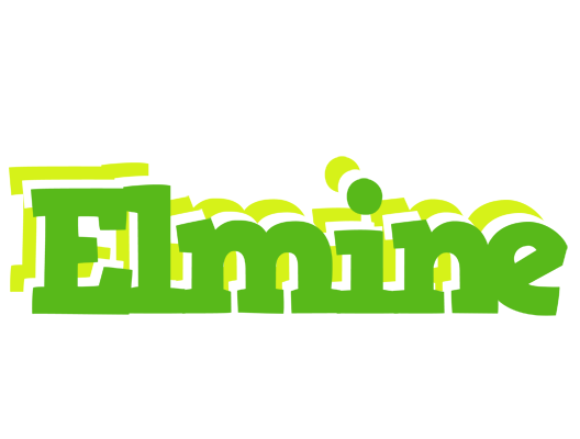Elmine picnic logo