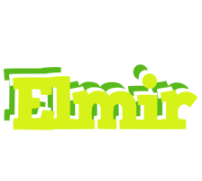 Elmir citrus logo