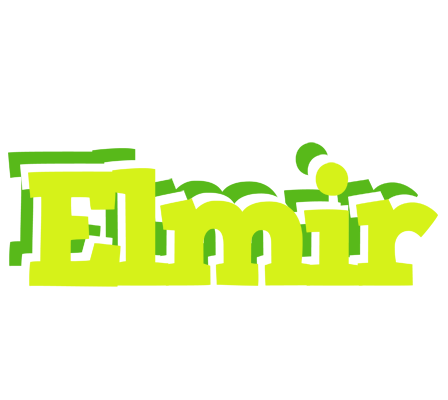 Elmir citrus logo