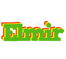 Elmir crocodile logo