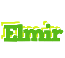 Elmir picnic logo