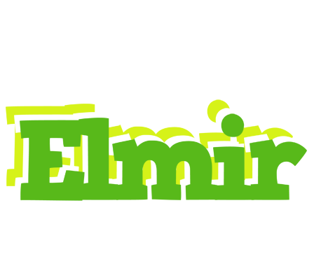 Elmir picnic logo