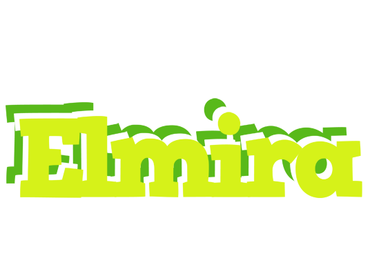 Elmira citrus logo