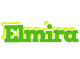 Elmira picnic logo