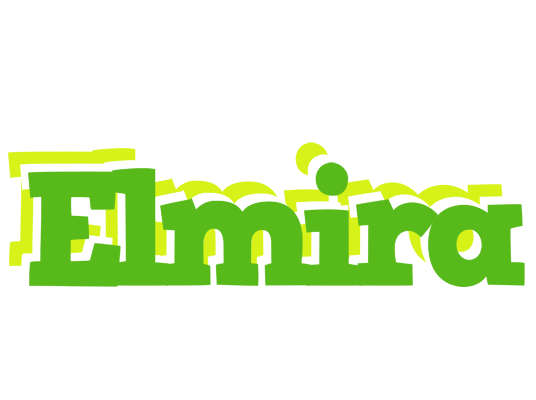 Elmira picnic logo